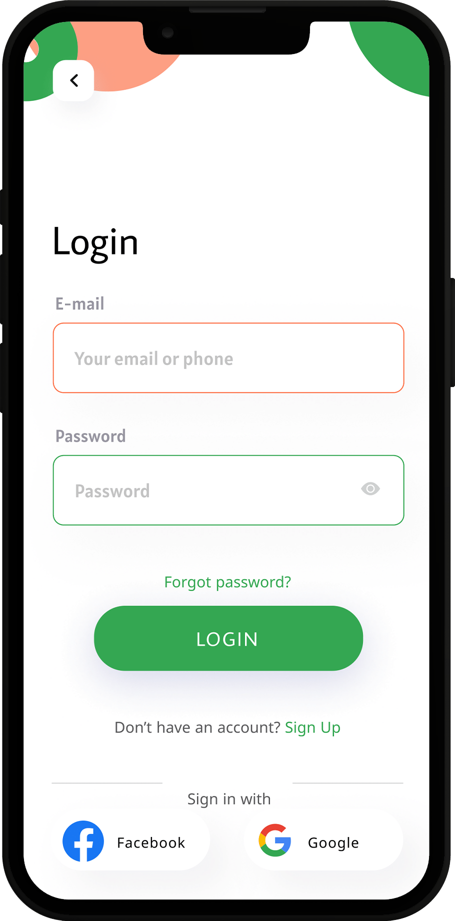 Project Screen Image
