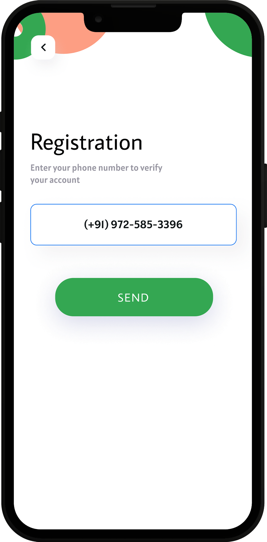 Project Screen Images