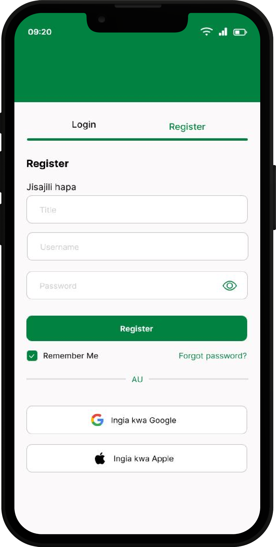 Project Screen Image