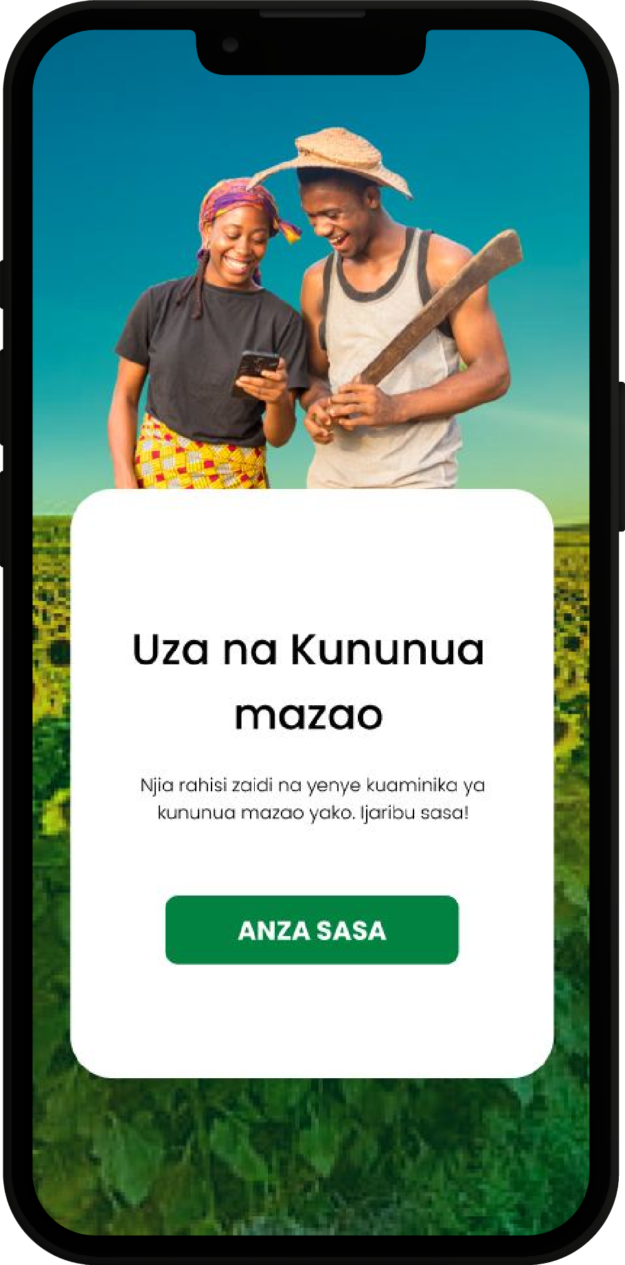 Project Screen Images