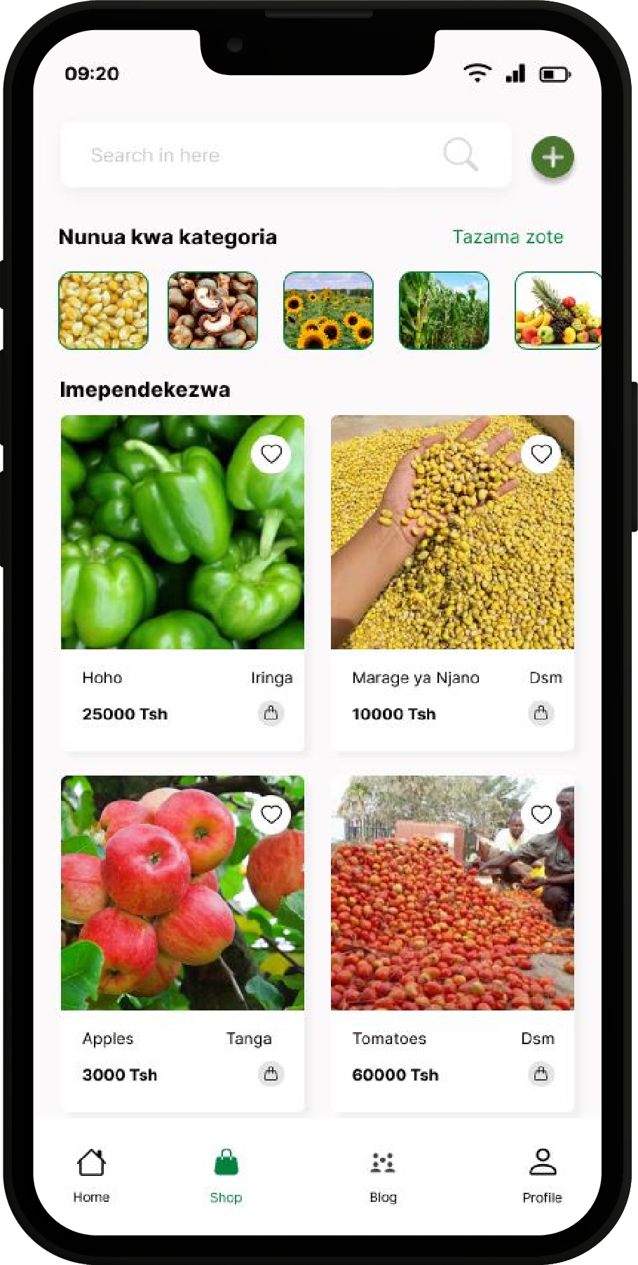 Project Screen Image