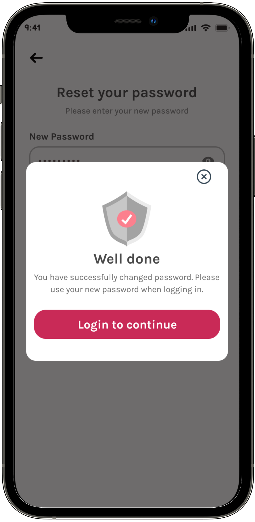 Project Screen Images