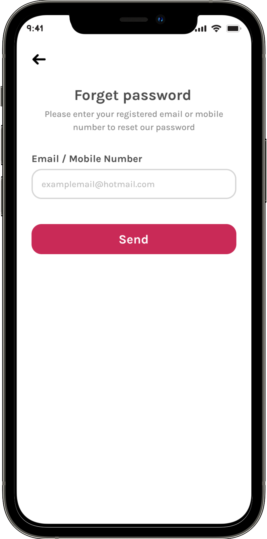 Project Screen Images