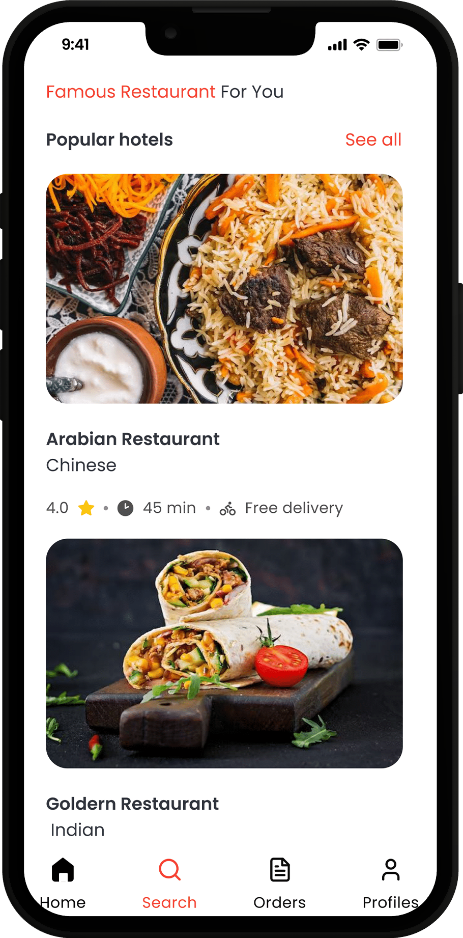 Project Screen Image